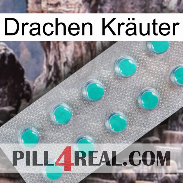 Drachen Kräuter 28.jpg